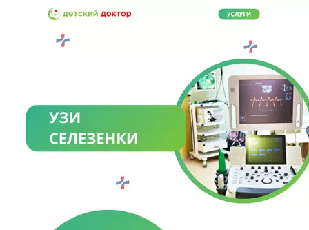 УЗИ селезенки